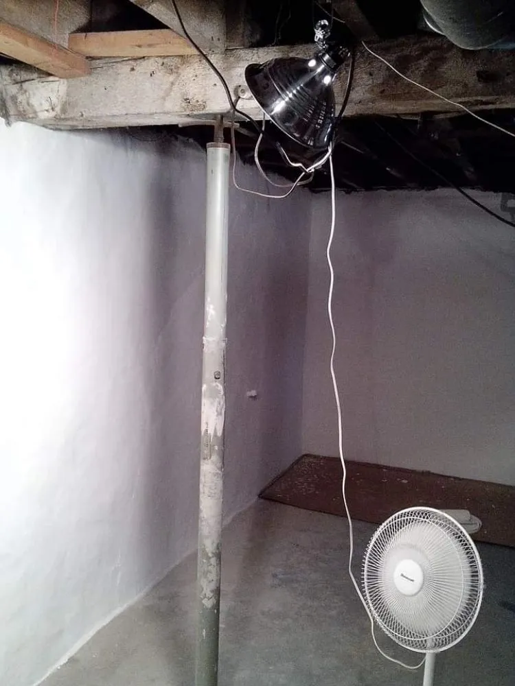 Affordable outdoor landscaping in Church Hill, TN by P&L Property Group