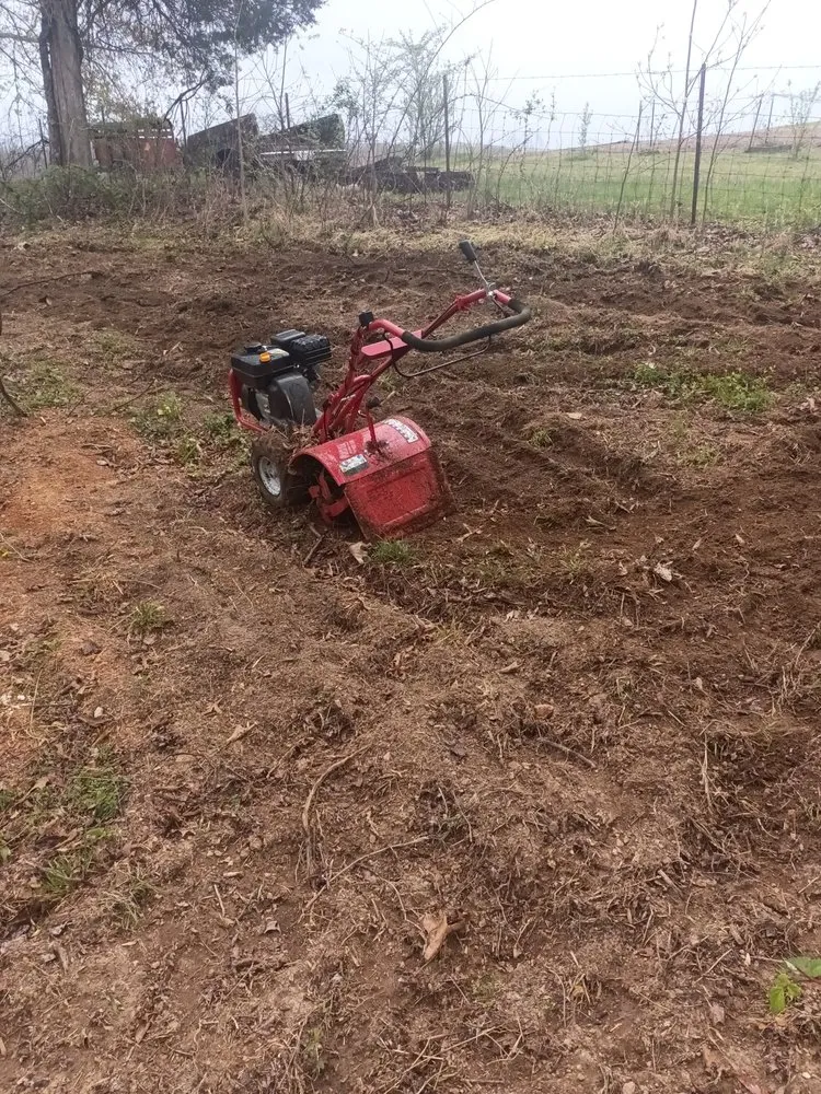 Expert lawn care service experts serving Church Hill, TN - P&L Property Group