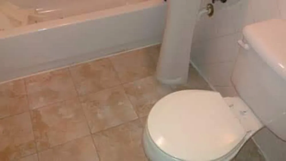 Custom landscape installation in Church Hill, TN by P&L Property Group