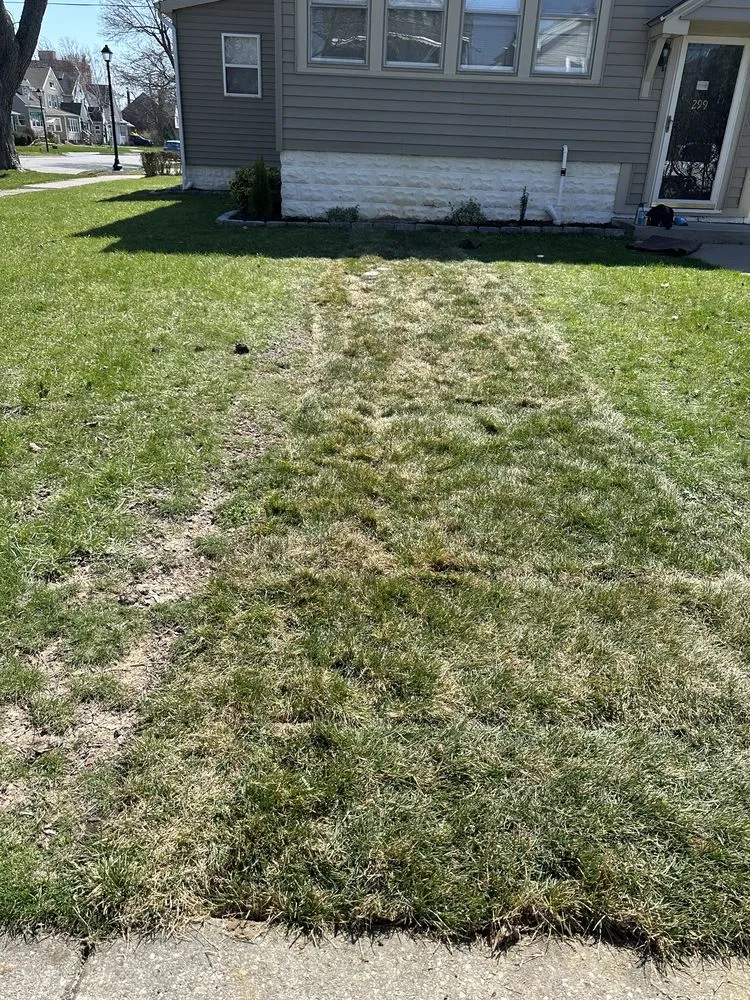 Custom residential landscaping for year-round maintenance across North Tonawanda, NY - PL Services