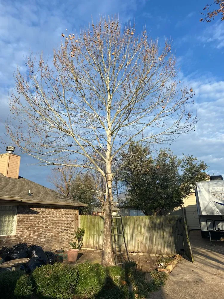 Reliable lawn mowing service in Woodway, TX by PL Tree service and Landscaping