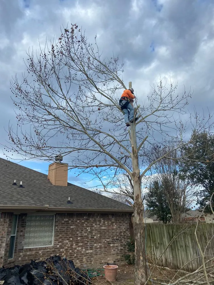 Custom lawn mowing service experts serving Woodway, TX - PL Tree service and Landscaping