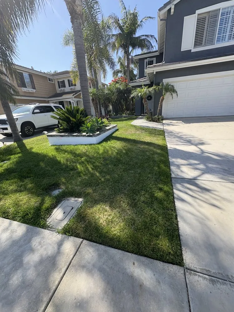 Reliable outdoor landscaping for beautiful yards in Carlsbad, CA by Place Landscaping