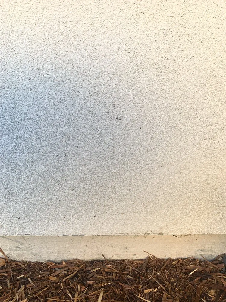 Local garden landscaping in Rocklin, CA by Placer Concrete & Construction