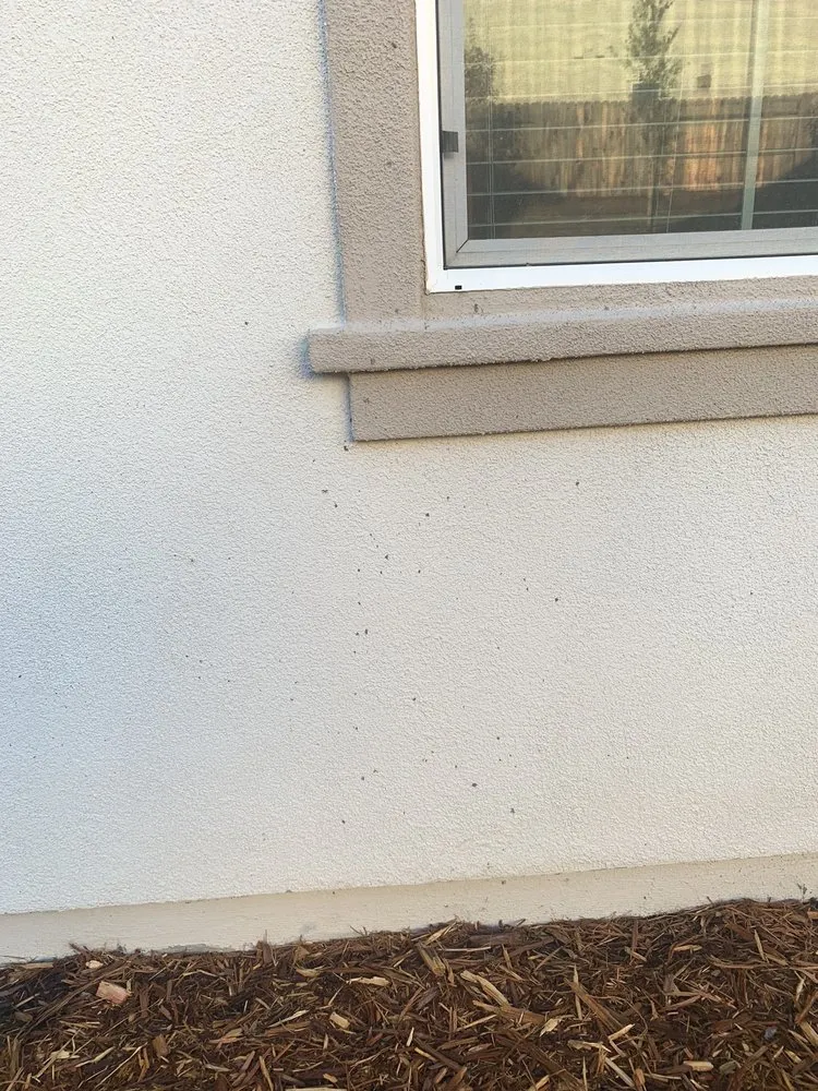 Custom lawn mowing service for beautiful yards across Rocklin, CA - Placer Concrete & Construction