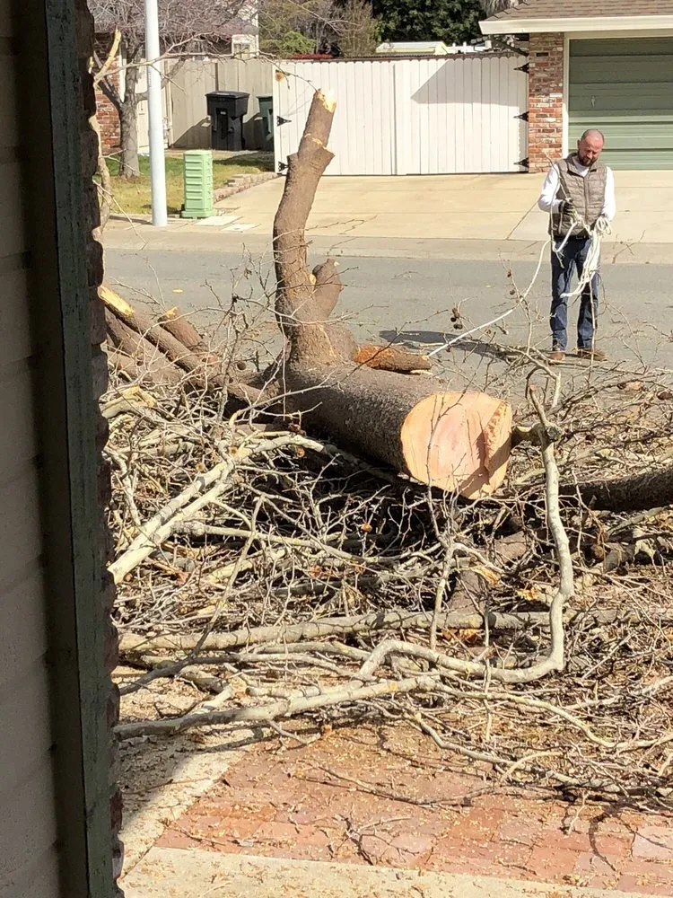 Custom garden landscaping for residential properties in Roseville, CA by Placer Valley Landscaping and Maintenance