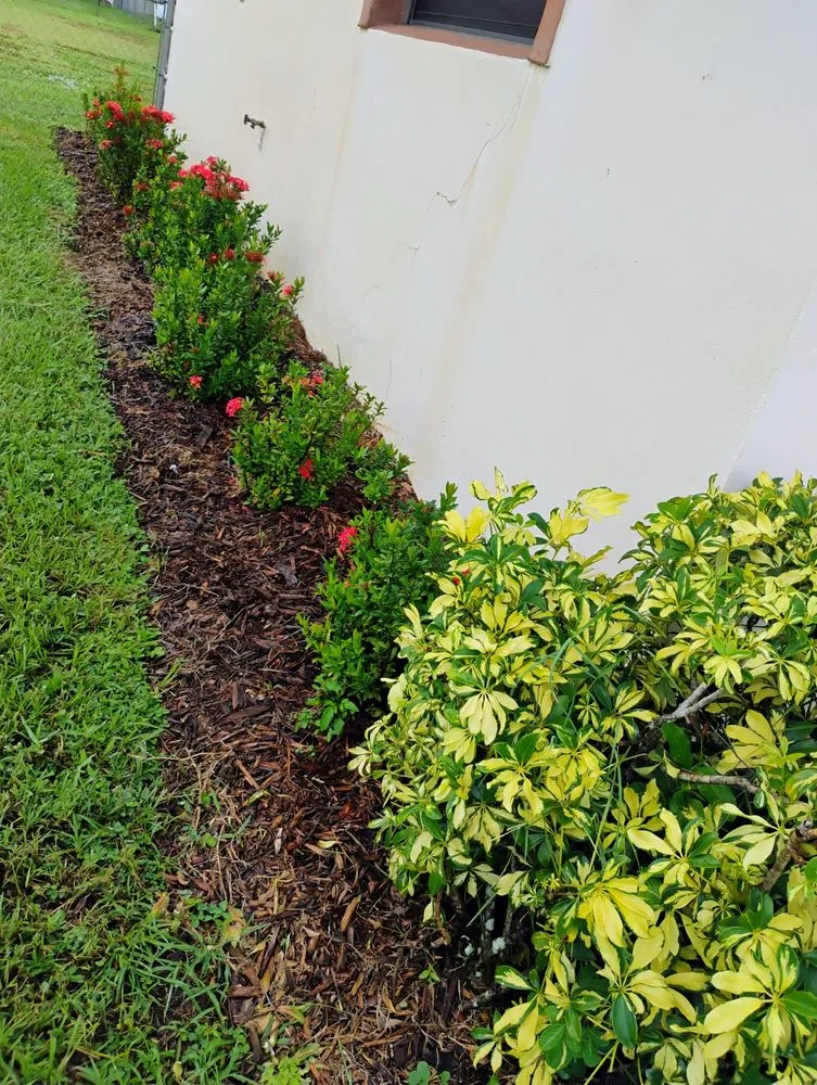Custom landscape design in Lake Placid, FL by Placid Lakes Lawn Care