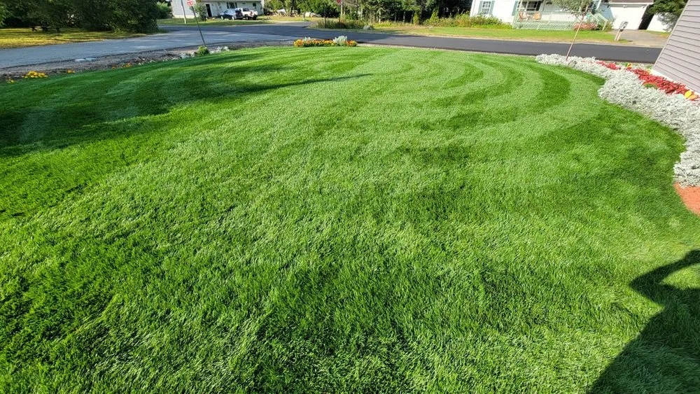Top-rated lawn care service near you in Lake Placid, NY by Placid Turf Pro