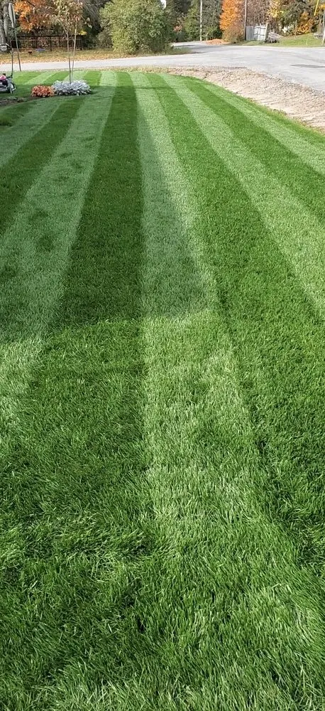 Custom garden landscaping for residential properties across Lake Placid, NY - Placid Turf Pro