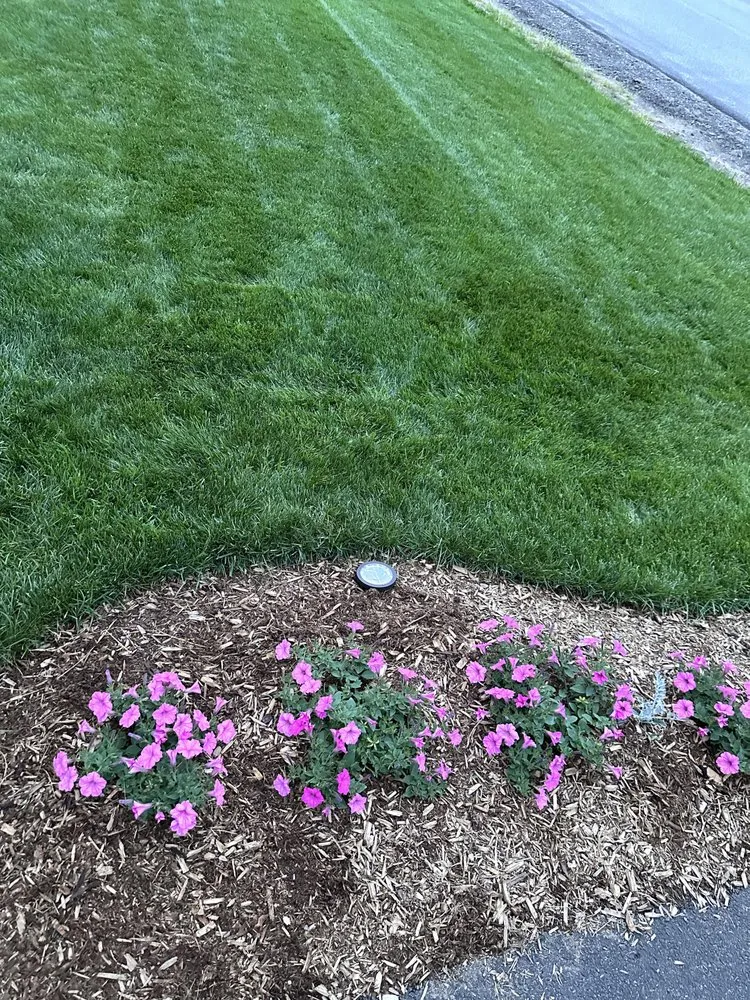 Professional yard cleanup service in Lake Placid, NY by Placid Turf Pro