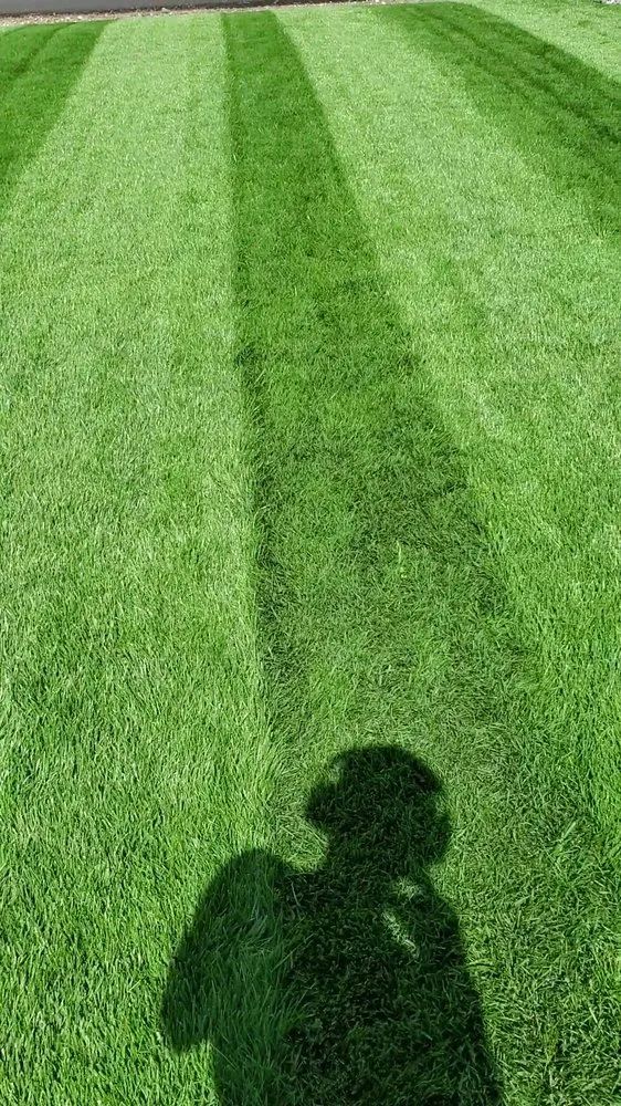 Local outdoor landscaping in Lake Placid, NY by Placid Turf Pro