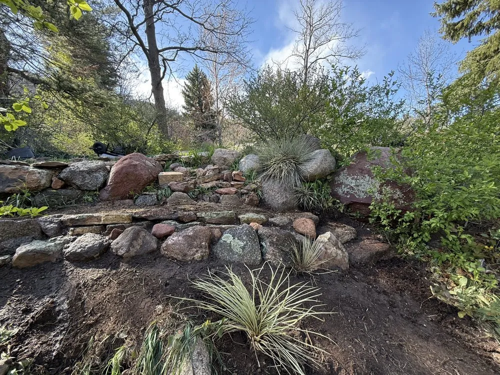 Expert landscape installation in Longmont, CO by Plains to Peaks Landscaping