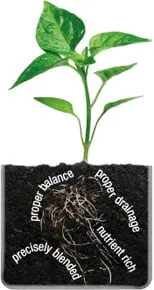 Trusted residential landscaping experts serving Elk River, MN - Plaisted Companies