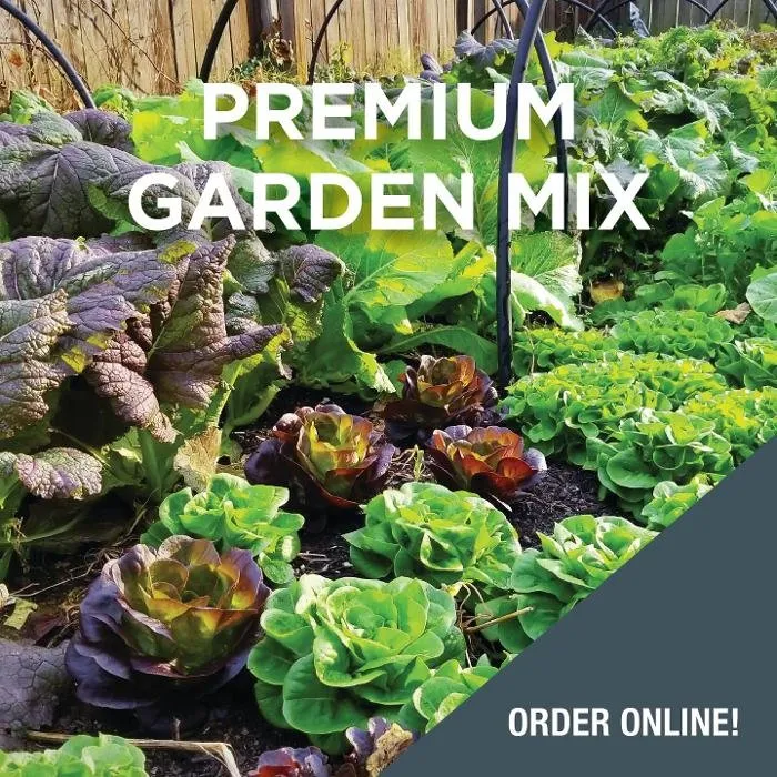 Top-rated landscaping services near you across Elk River, MN - Plaisted Companies