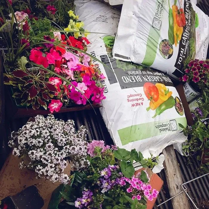 Reliable yard maintenance experts serving Elk River, MN - Plaisted Companies