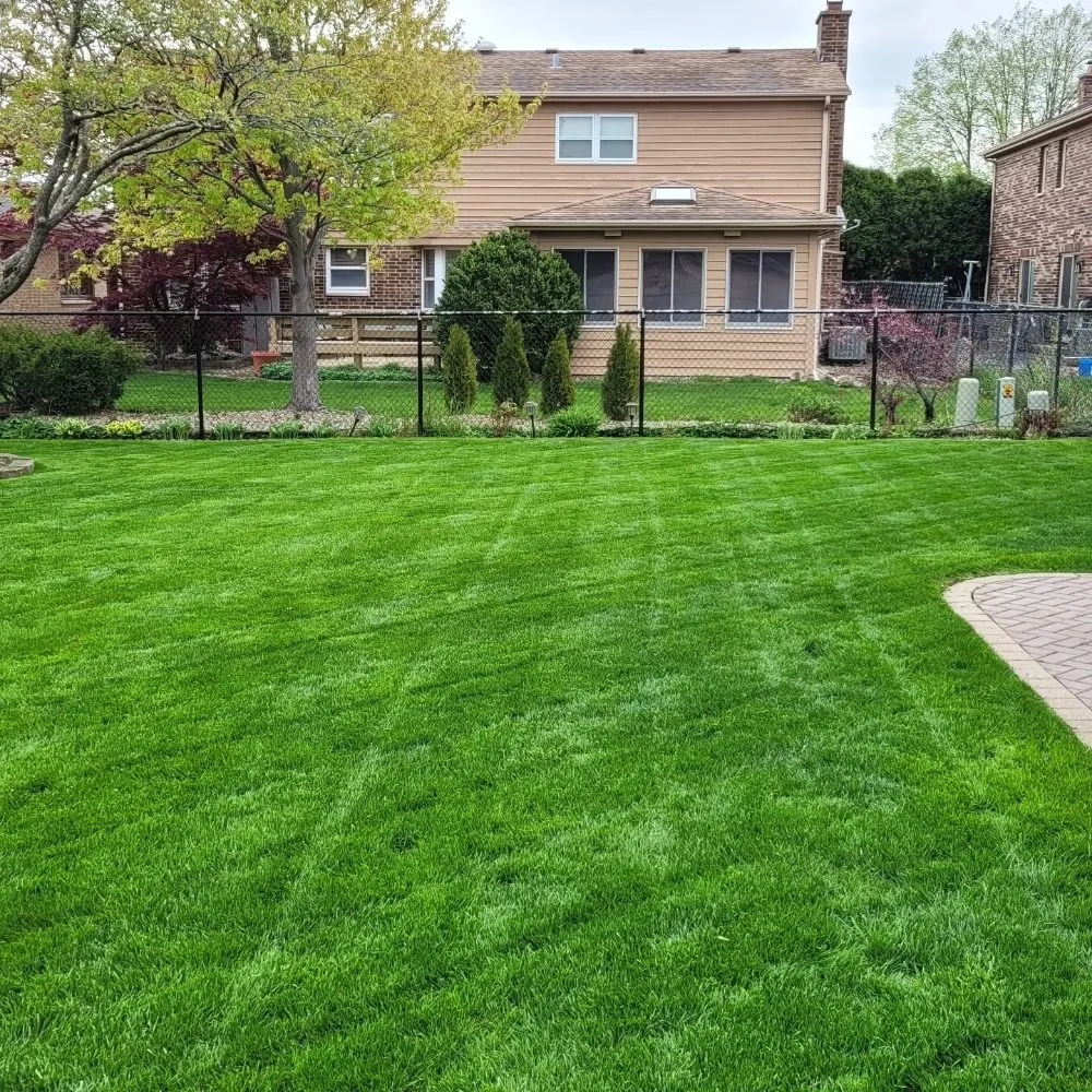 Custom yard maintenance in Palatine, IL - Plamac Landscaping and Construction