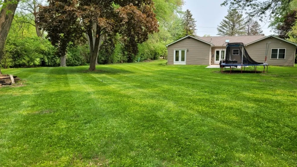 Professional outdoor landscaping for beautiful yards across Palatine, IL - Plamac Landscaping and Construction