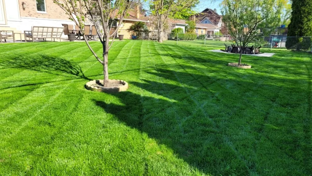 Professional landscaping services in Palatine, IL by Plamac Landscaping and Construction