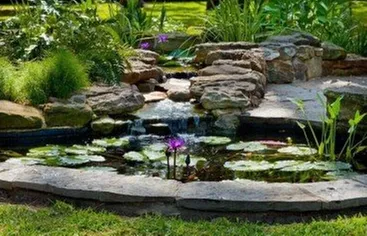 Plan & Planting Associates Logo