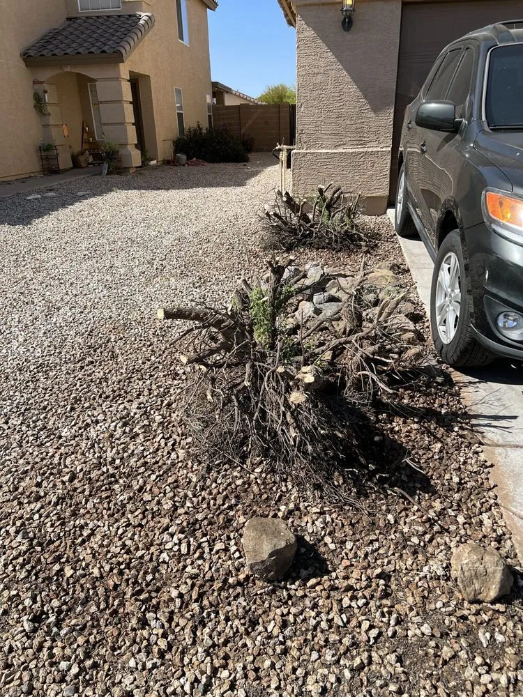 Trusted lawn care service for beautiful yards in Chandler, AZ by Plan A Landscaping
