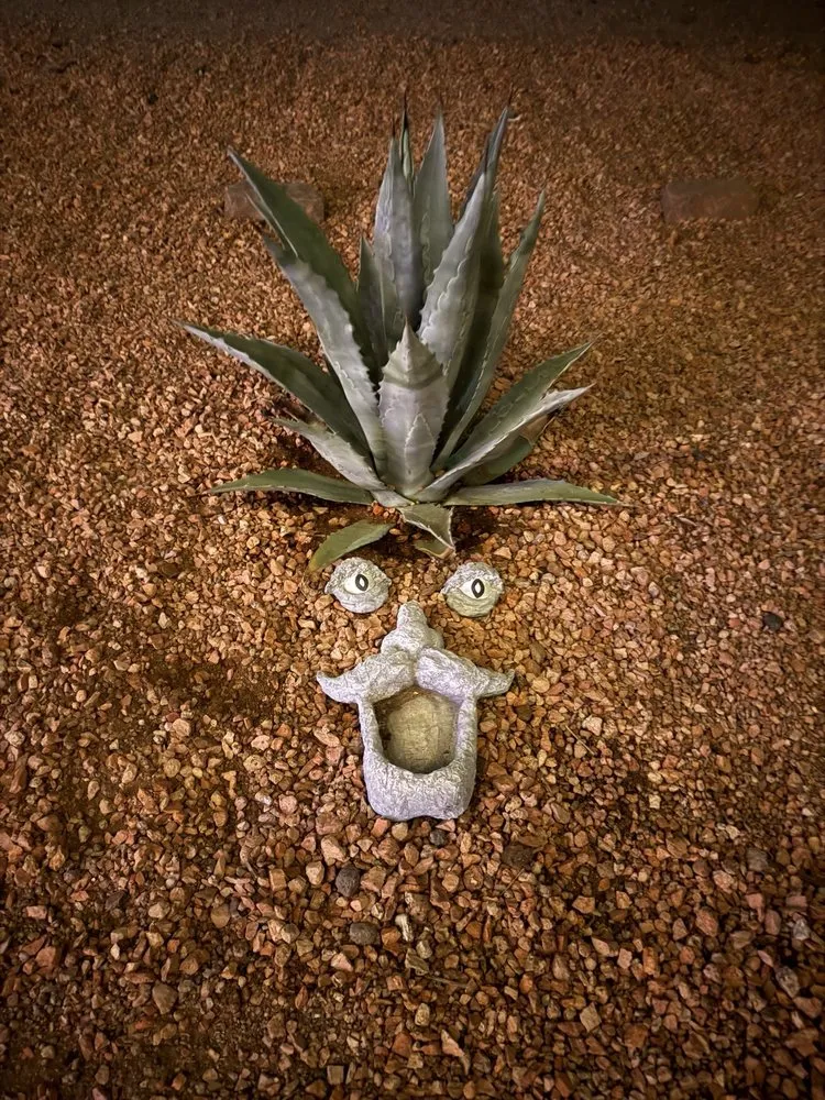 Local landscaping services experts serving Chandler, AZ - Plan A Landscaping