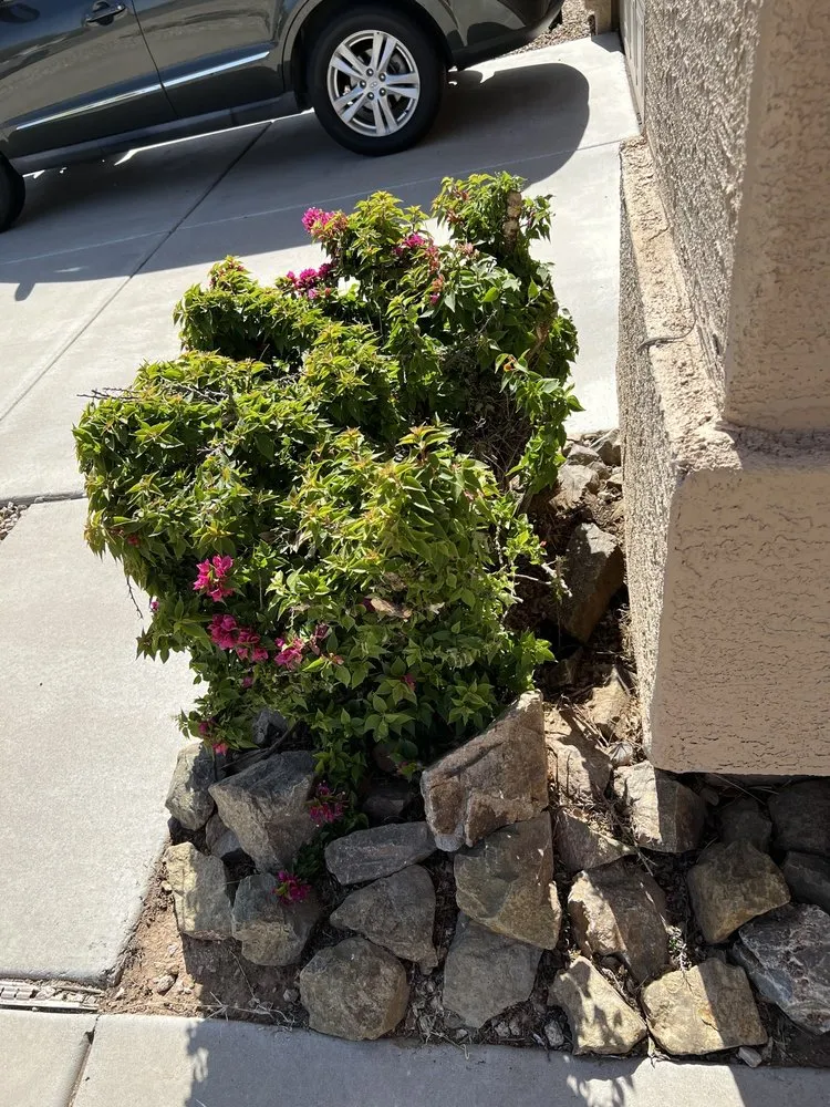 Expert lawn mowing service experts serving Chandler, AZ - Plan A Landscaping