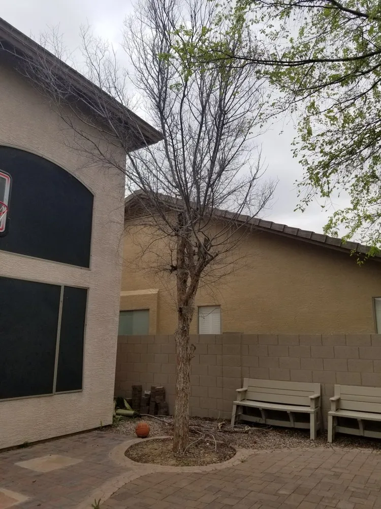 Local outdoor landscaping in Chandler, AZ - Plan A Landscaping