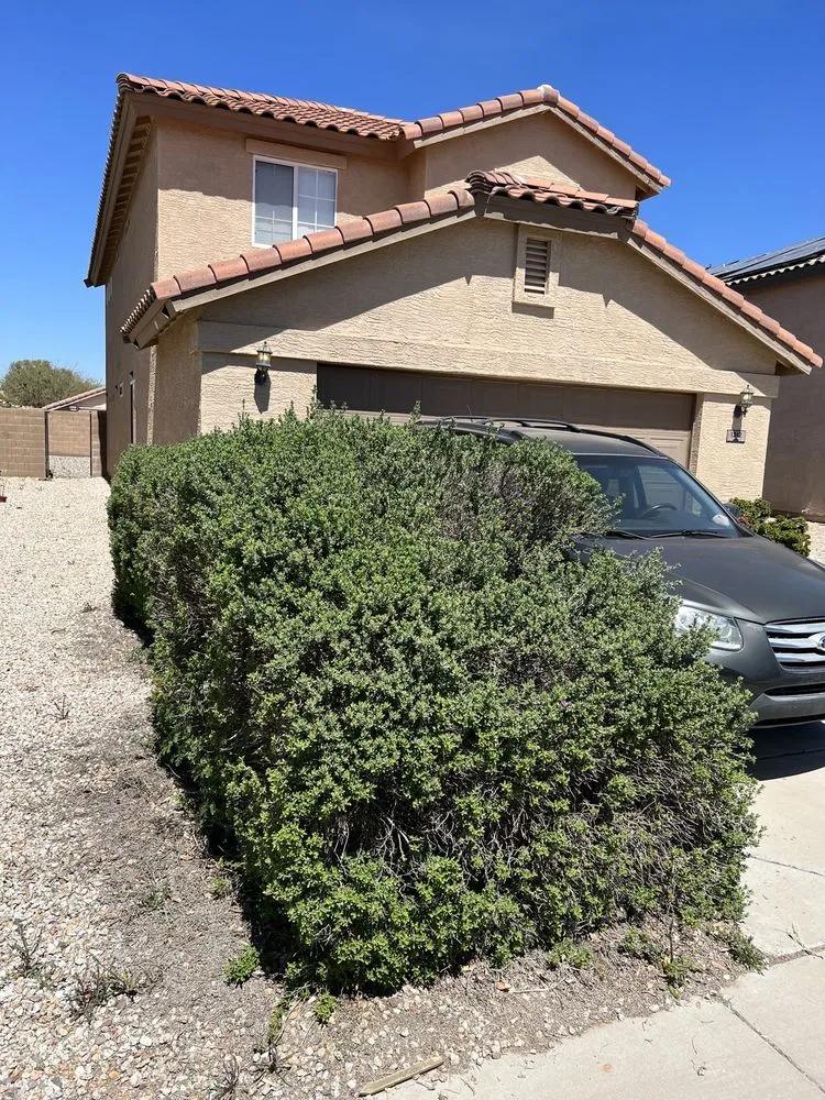 Top-rated landscape design for year-round maintenance in Chandler, AZ by Plan A Landscaping