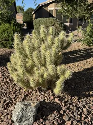 Plan A Landscaping Logo