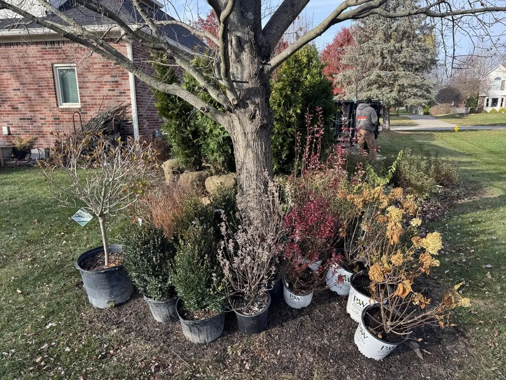 Custom garden landscaping experts serving Fishers, IN - Plan B lawn and property services