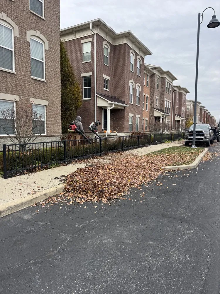 Top-rated yard cleanup service near you in Fishers, IN by Plan B lawn and property services