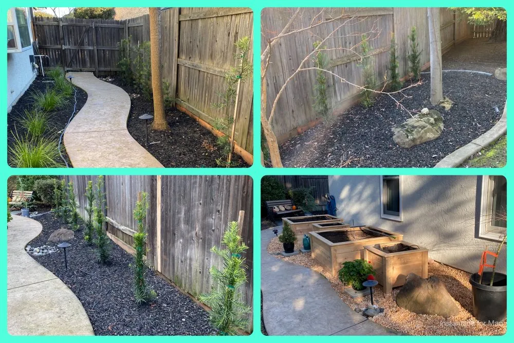 Trusted garden landscaping for year-round maintenance in Sacramento, CA by Plan It Landscapes