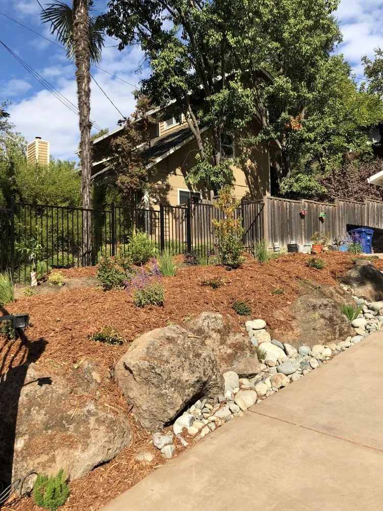 Reliable yard maintenance in Sacramento, CA - Plan It Landscapes