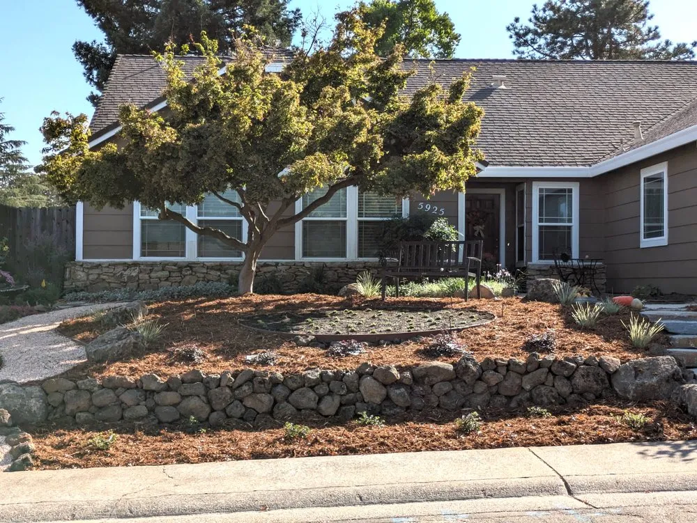 Local yard maintenance in Sacramento, CA by Plan It Landscapes