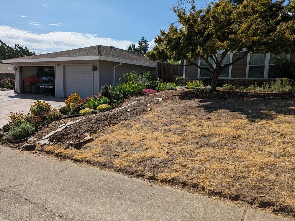 Local residential landscaping with custom design across Sacramento, CA - Plan It Landscapes