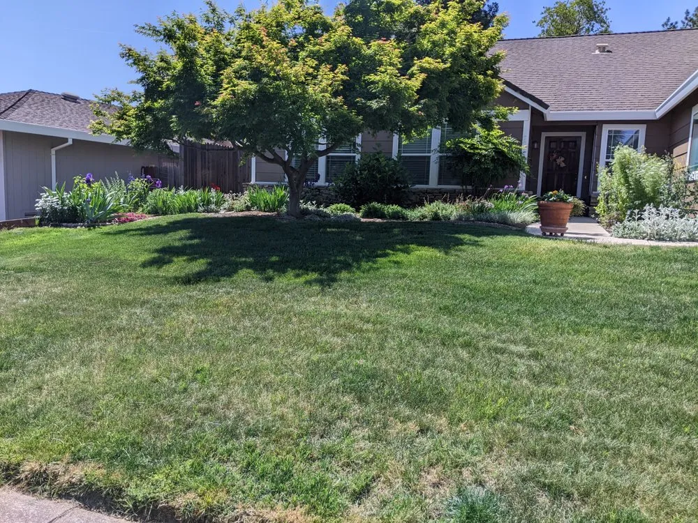 Professional yard maintenance experts serving Sacramento, CA - Plan It Landscapes