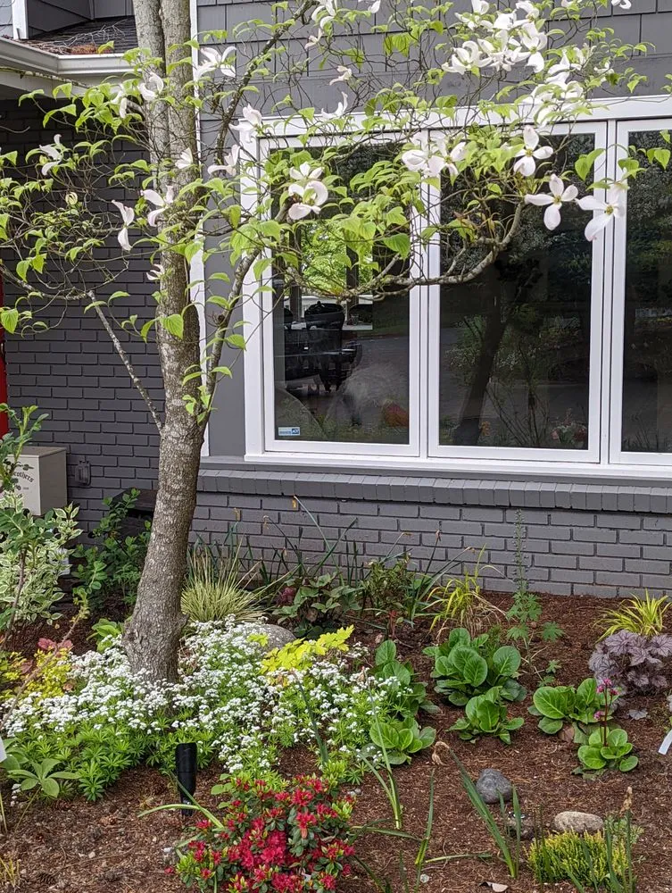 Affordable landscaping services for residential properties in Shoreline, WA by Plan-It Vision