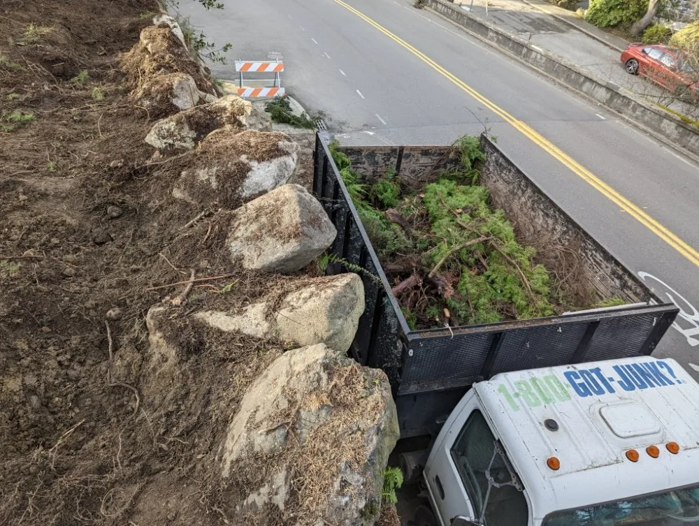 Professional lawn care service for beautiful yards across Shoreline, WA - Plan-It Vision