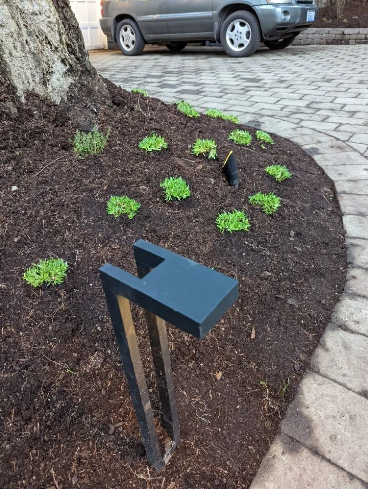 Trusted outdoor landscaping experts serving Shoreline, WA - Plan-It Vision