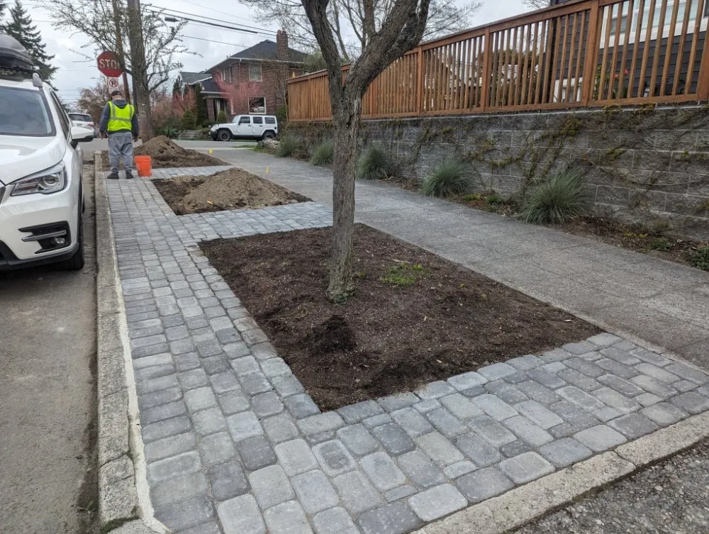 Reliable yard cleanup service for outdoor upgrades across Shoreline, WA - Plan-It Vision