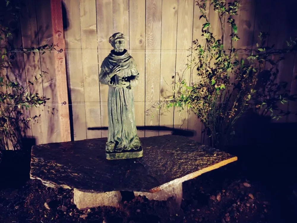 Expert residential landscaping for beautiful yards across Shoreline, WA - Plan-It Vision