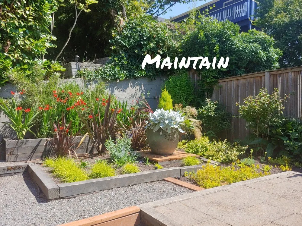 Professional lawn care service experts serving Shoreline, WA - Plan-It Vision