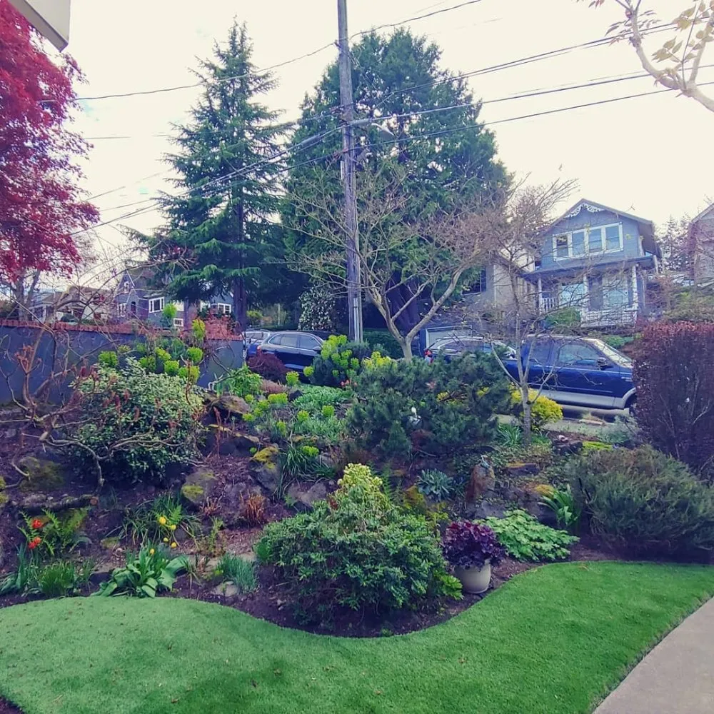 Top-rated outdoor landscaping for year-round maintenance across Shoreline, WA - Plan-It Vision