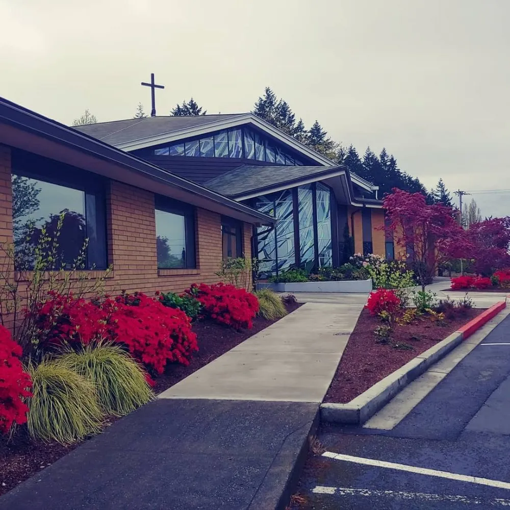 Reliable yard cleanup service for homes across Shoreline, WA - Plan-It Vision