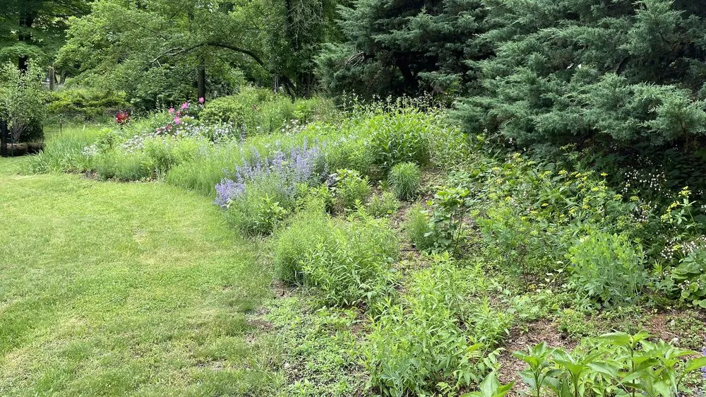Top-rated garden landscaping in Croton-on-Hudson, NY - PLAN it WILD