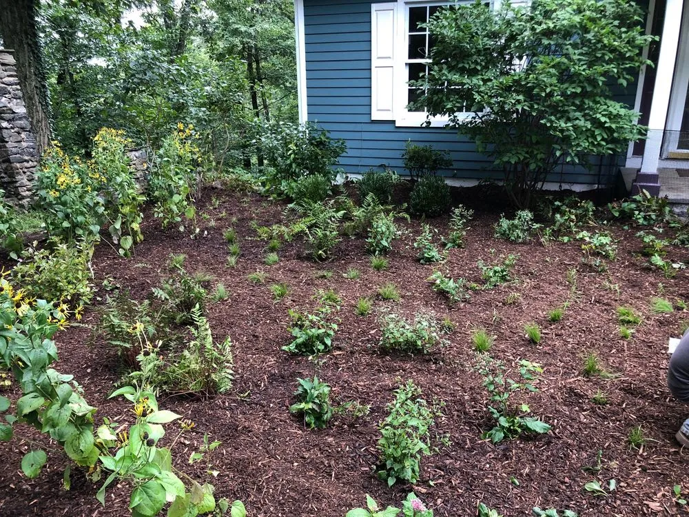 Top-rated lawn care service in Croton-on-Hudson, NY by PLAN it WILD