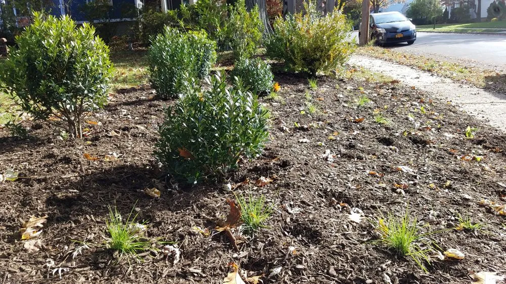 Top-rated landscape installation for residential properties across Croton-on-Hudson, NY - PLAN it WILD