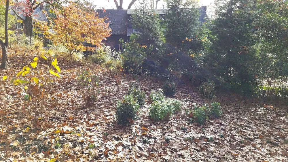 Custom garden landscaping experts serving Croton-on-Hudson, NY - PLAN it WILD