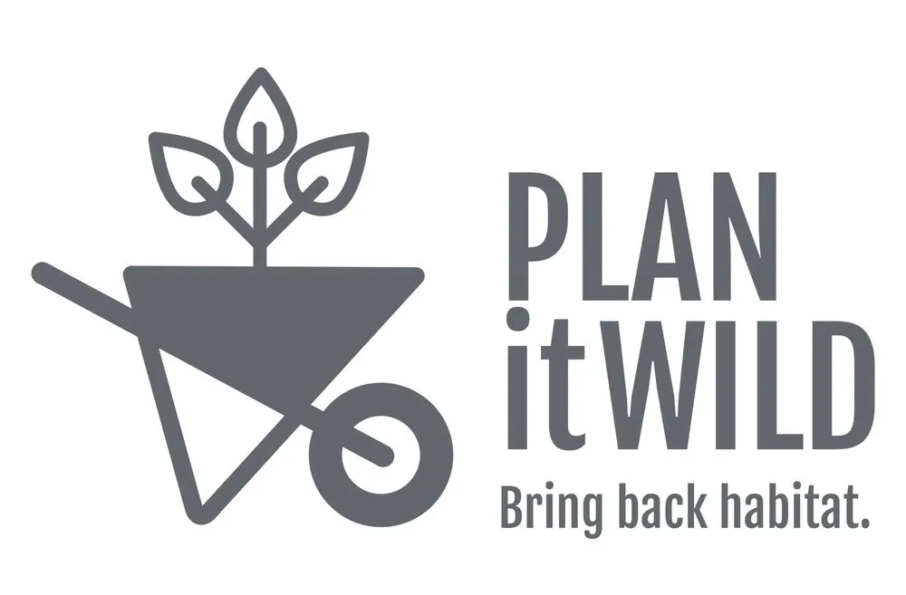 Trusted residential landscaping in Croton-on-Hudson, NY by PLAN it WILD
