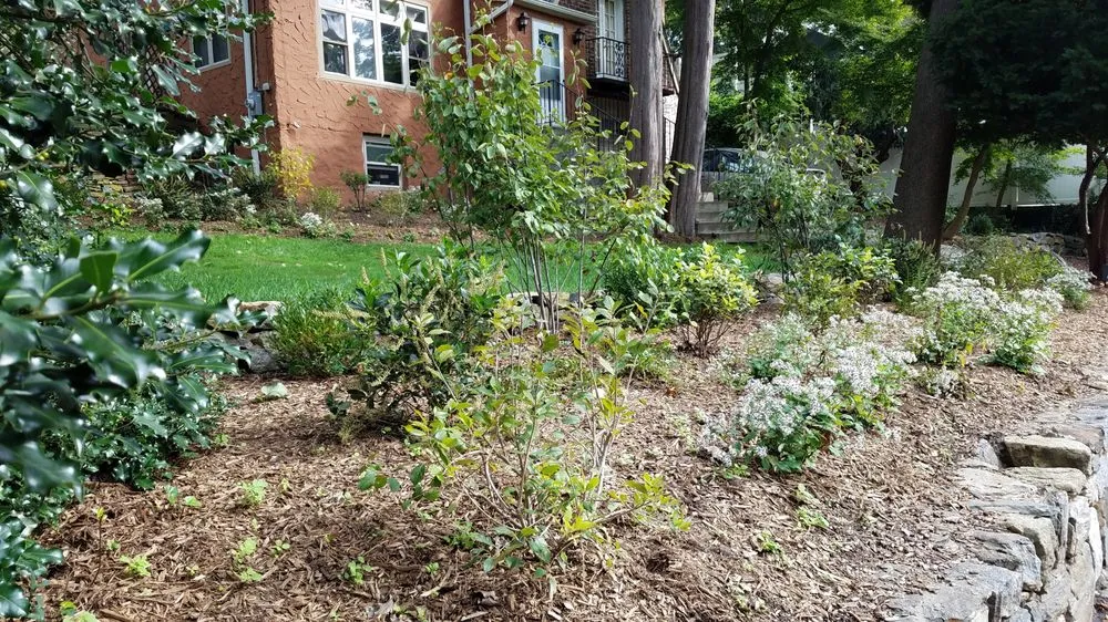 Reliable outdoor landscaping in Croton-on-Hudson, NY - PLAN it WILD